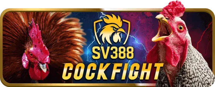 Bắn Cá và Nổ Hũ Đổi Thưởng Vipbet